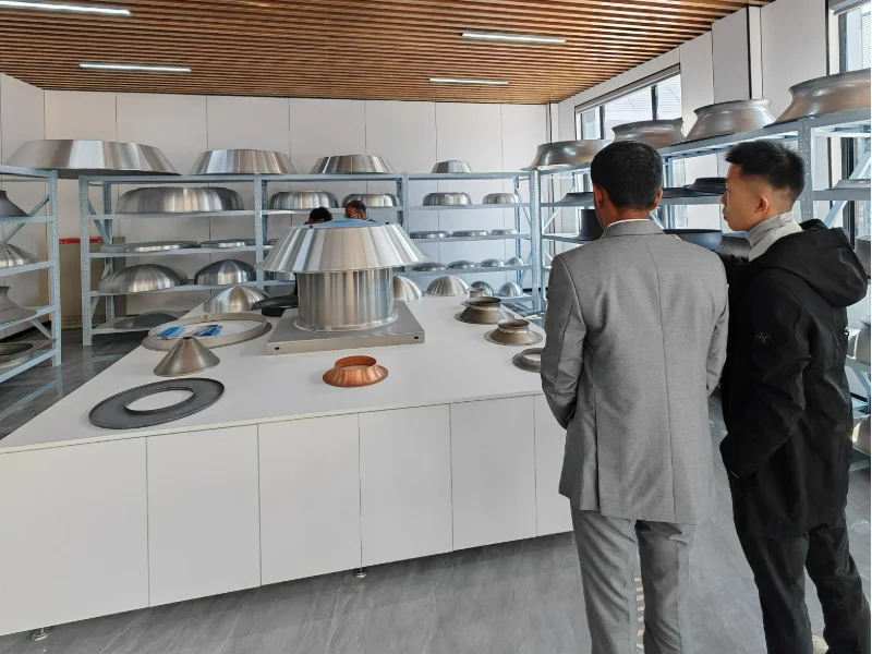 Industrial fan spinning sample